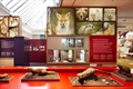 Naturmuseum