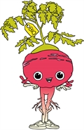 Radi Bio