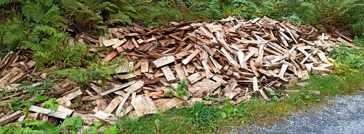 Wild entsorgte Bauholzabfälle im Wald