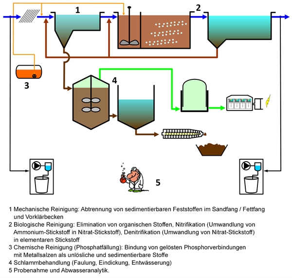 Schema einer Belebtschlamm-Anlage