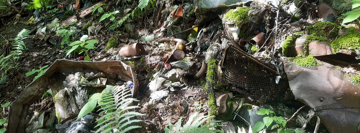 Altlasten auf Waldboden
