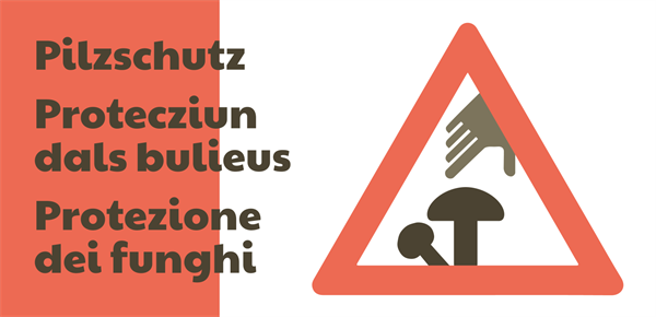 Pilzschutzplakat