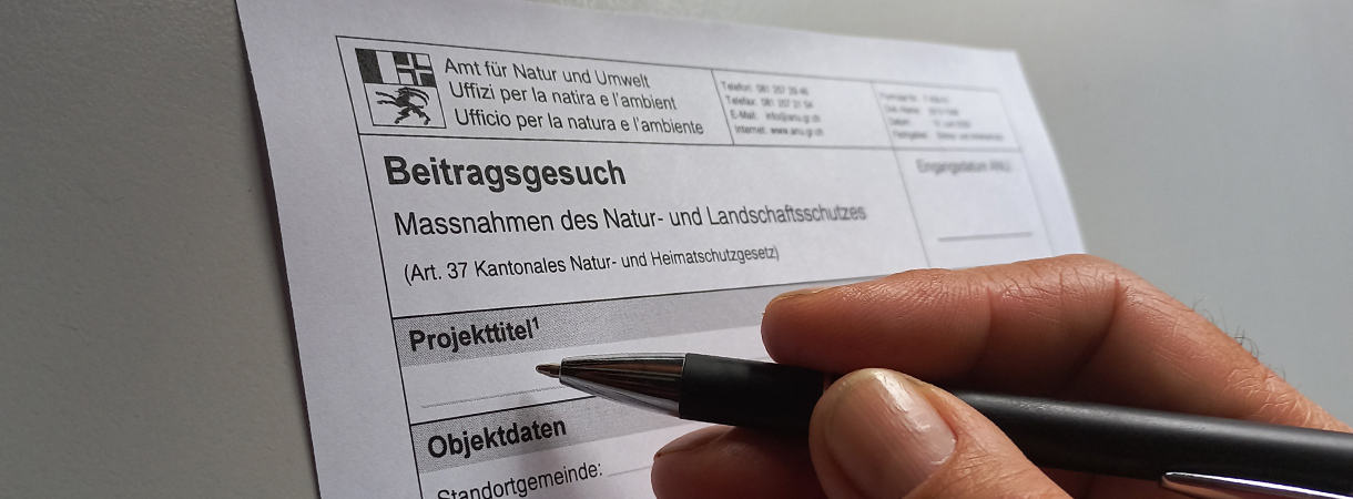 Beitragsgesuch in Papierform
