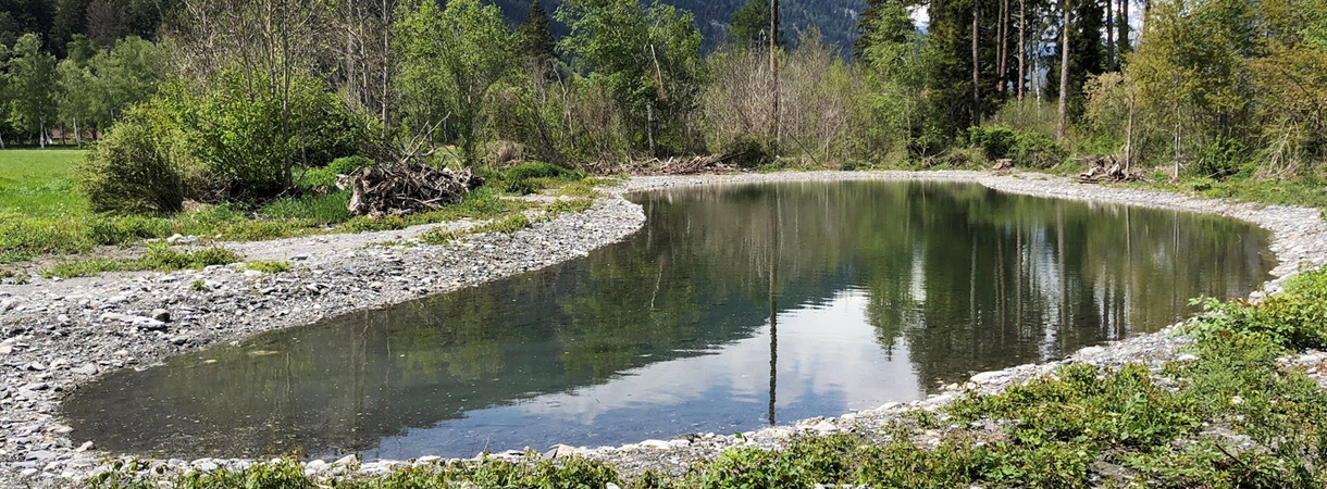 Amphibien-Laichgebiet in der Gemeinde Cazis