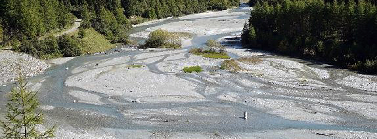 Auenlandschaft an der Susasca, einem Nebenfluss des Inn