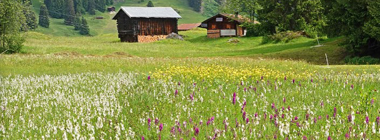Flachmoor in Laax