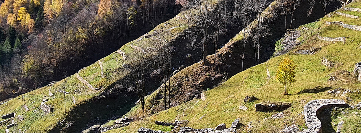 Landschaft, mit Trockenmauern strukturiert