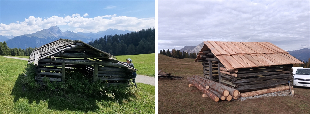 Im Jahr 2022 wurde ein erstes sanierungsbedürftiges Tgamons im Rahmen eines Pilotprojekts unter Anleitung einer Arbeitsgruppe des Parc Ela sanft renoviert. Dabei wurden wuchernde Himbeersträucher entfernt, neue Fundamentsteine gelegt sowie die Dacheindeckung und einzelne Rundhölzer erneuert.
