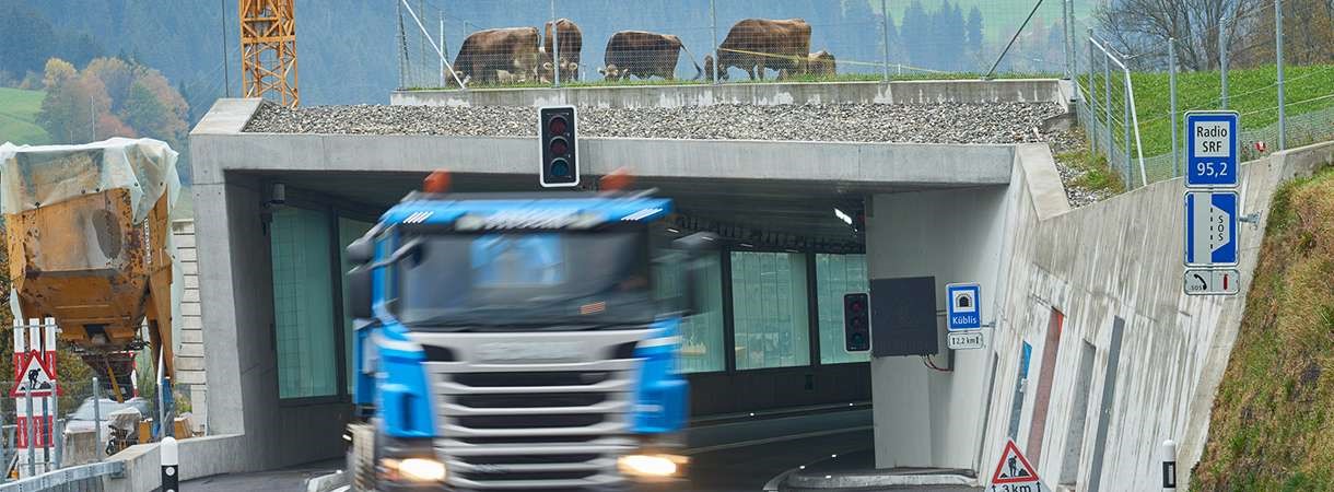 LKW, der aus Galerie fährt, oben auf der Galerie grasende Kühe
