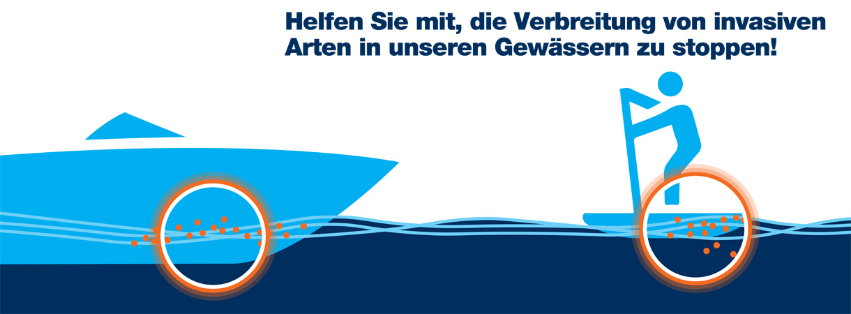 Plakat invasive Pflanzen und Tiere in Gewässern