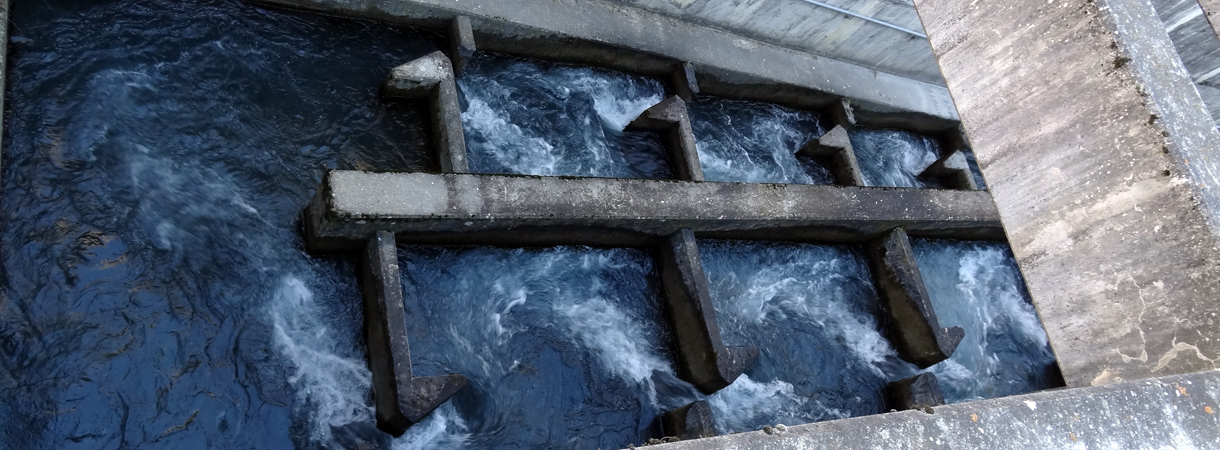Vertical-Slot-Fischpass (Fischtreppe) bei der Staustufe Domat/Ems