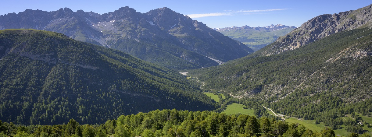 Val Plavna