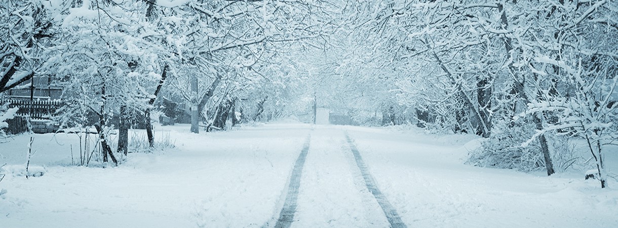 Frisch verschneite Strasse