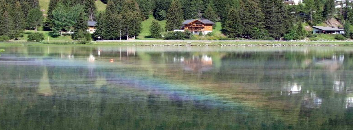 Ölfilm auf einem See